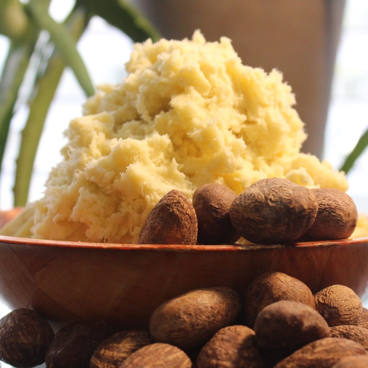 Shea butter